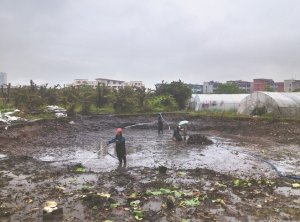 翼城河道鱼塘清淤